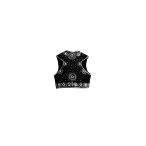costume de scène Nolwenn Leroy