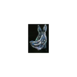 robe Nolwenn LEROY